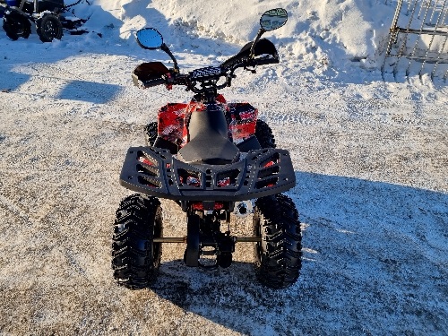 Квадроцикл ATV Raptor MAX 125 см3 