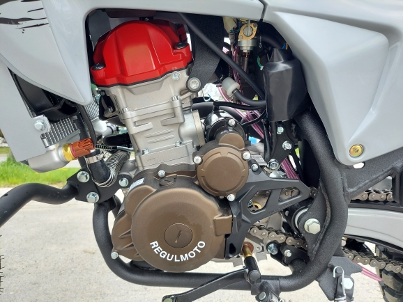 Мотоцикл Regulmoto TE PRO NB300
