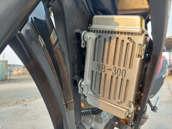 Мотоцикл Regulmoto CR-Z 350