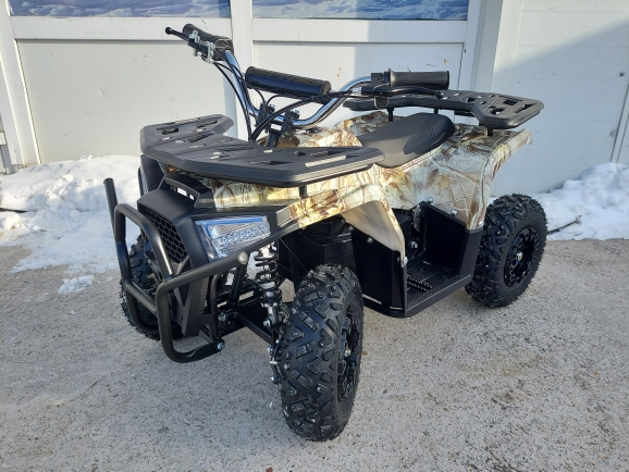 Электроквадроцикл ATV LM-500V