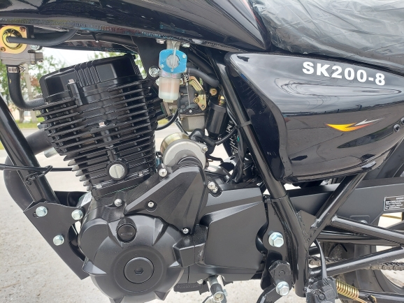 Мотоцикл Regulmoto SK 200-8