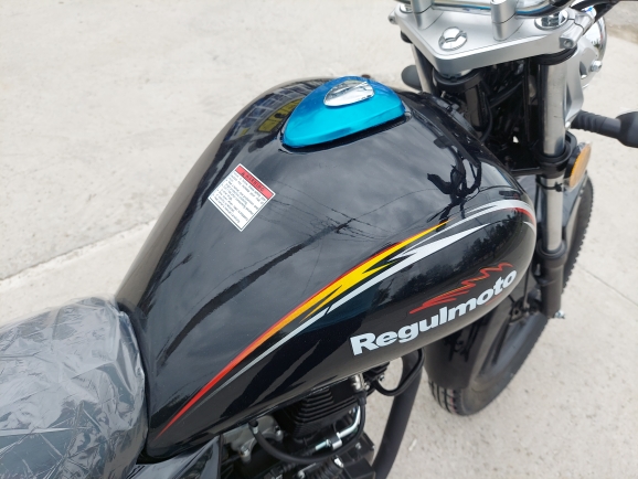 Мотоцикл Regulmoto SK 200-8
