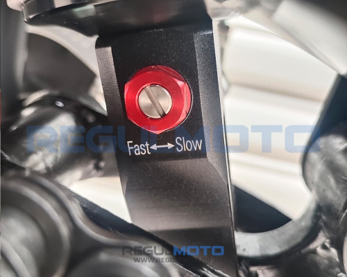 Мотоцикл Regulmoto ZR PR 4 valves 6 Gear