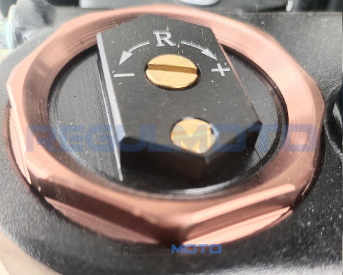 Мотоцикл Regulmoto ZR PR 4 valves 6 Gear