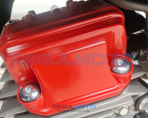 Мотоцикл Regulmoto ZR PR 4 valves 6 Gear
