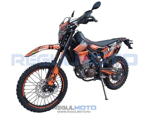 Мотоцикл Regulmoto ZR PR 4 valves 6 Gear